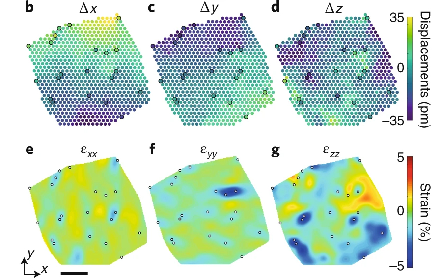 A 3D map of atoms in 2D materials – STROBE