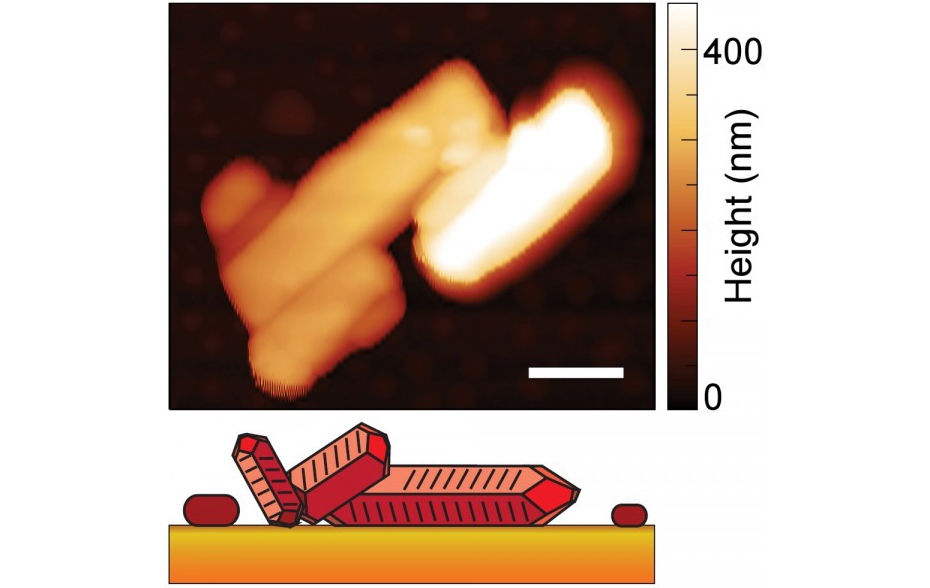 Crystal Clear Imaging: Infrared Brings to Light Nanoscale Molecular ...