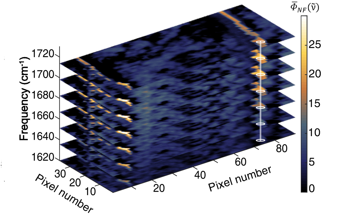 Real Time Nearfield Imaging of Biological and Nanosystems STROBE